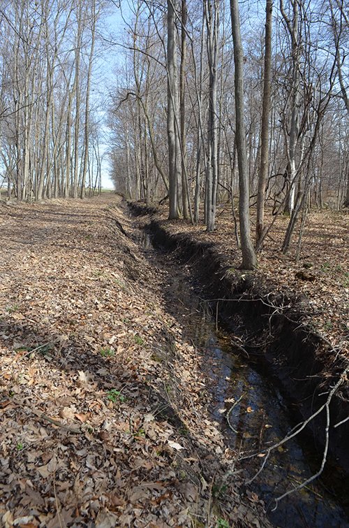 Property photo 106 - REAL ESTATE & PERSONAL PROPERTY AUCTION, 140 Acres offered in 8 Tracts or Combinations in Steuben County